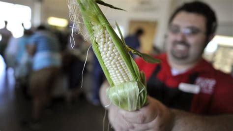<b>Fresno</b> <b>State's</b> popular sweet <b>corn</b> will go on <b>sale</b> on Monday, with social distancing guidelines in place to keep shoppers safe. . Fresno state corn sale 2023